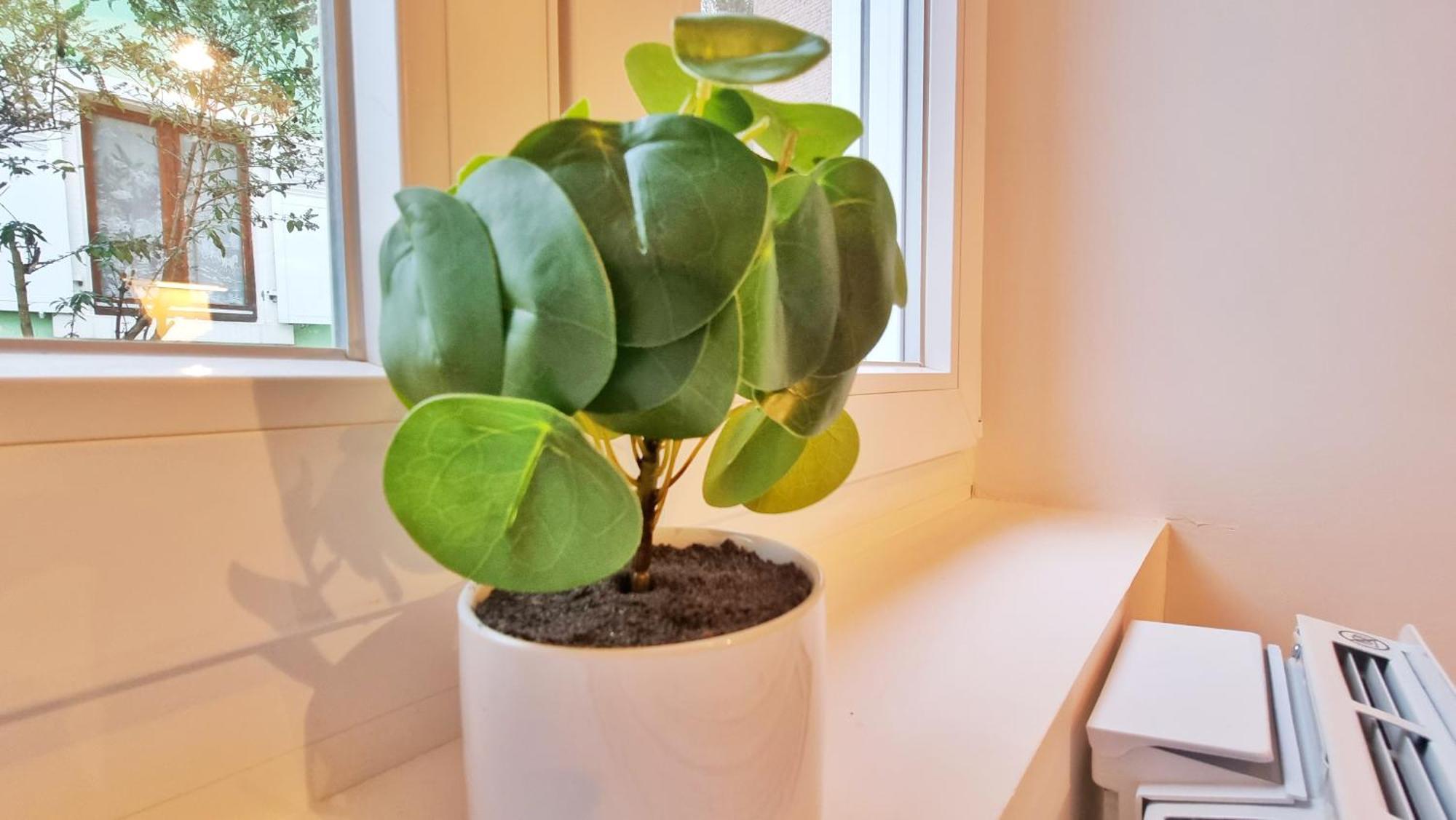La Buhl Verte - Chic Et Moderne - Calme - Fibre - Relax Bnb Exterior photo